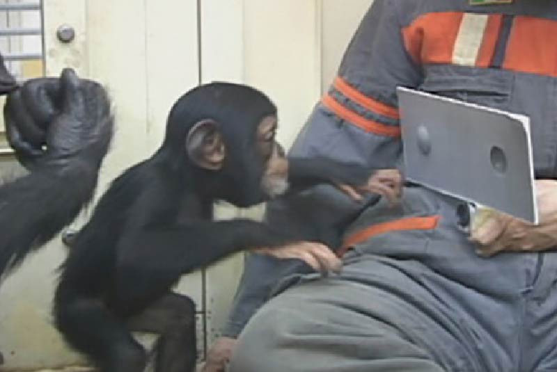 伊村知子 研究室の様子