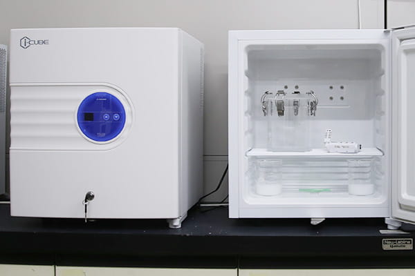 食品の保存状況を実験する様子